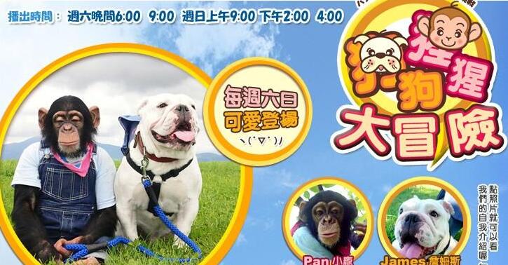 狗狗猩猩大冒险国语版资源，高清视频免费下载