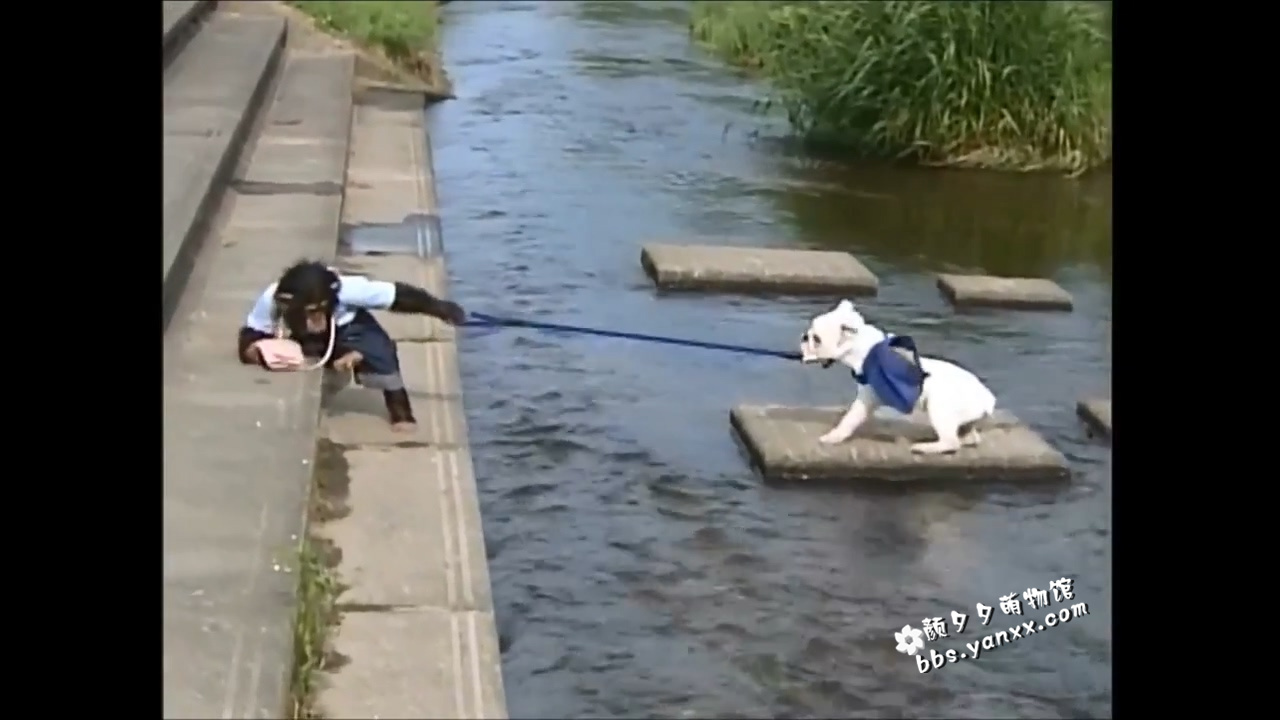 搞笑动物节目-狗狗猩猩大冒险（又名：小庞和詹姆斯）第一季+第二季下载图片 No.4